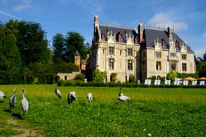 TRAIL DES IRAIDUCTIBLES